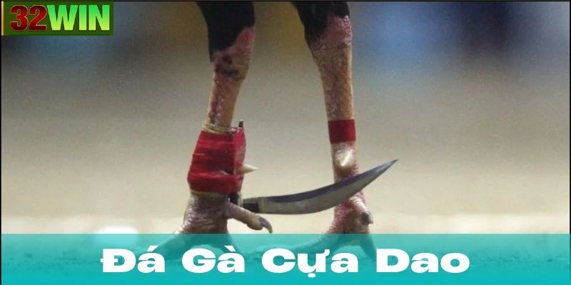 Kỹ thuật huấn luyện gà đá cựa dao