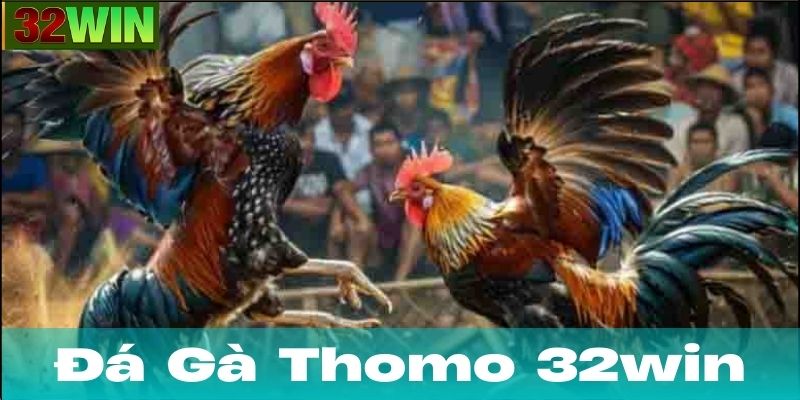 Kinh Nghiệm Chơi Đá Gà Thomo Dễ Thắng