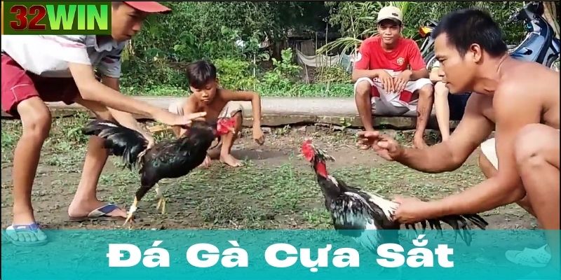 Đá Gà Cựa Sắt là gì?