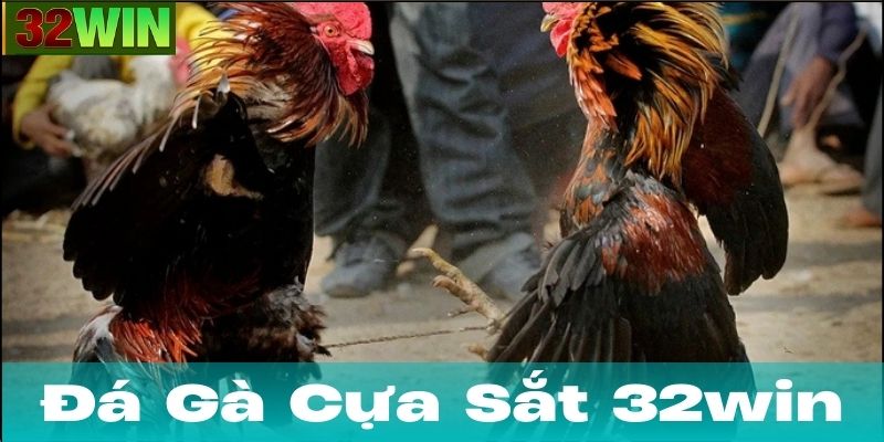 Ưu điểm của Đá Gà Cựa Sắt